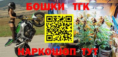 молекула духа Новодвинск