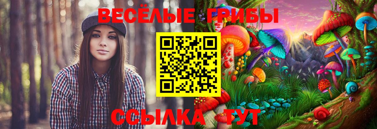 сколько стоит  Вход с VPN  Торжок  Галлюциногенные грибы мухоморы 