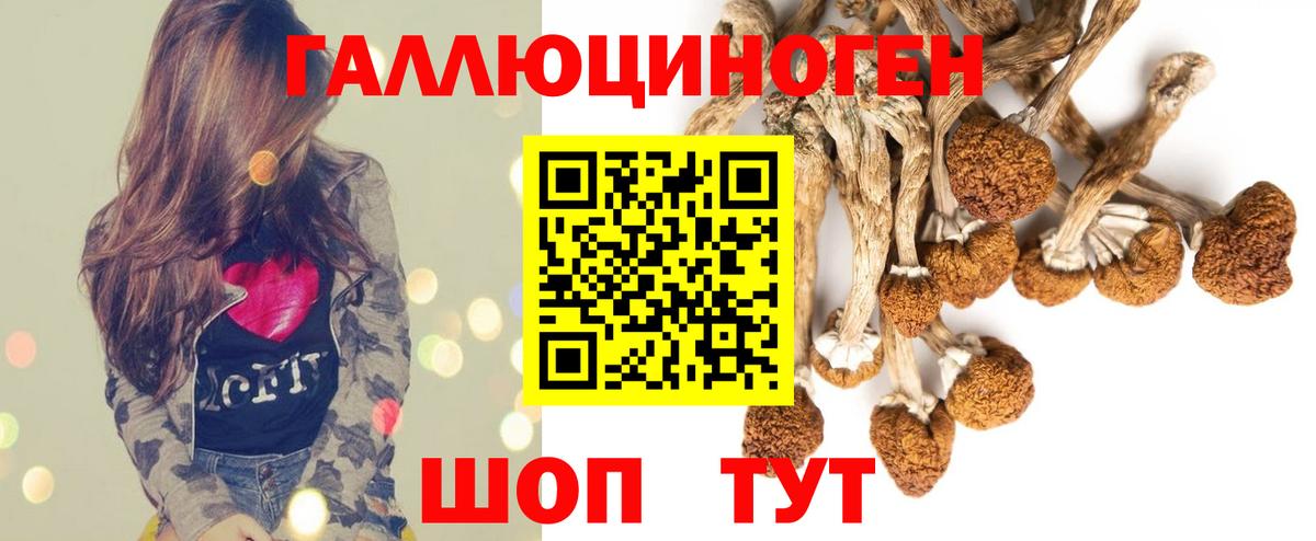 Псилоцибиновые грибы MAGIC MUSHROOMS Торжок